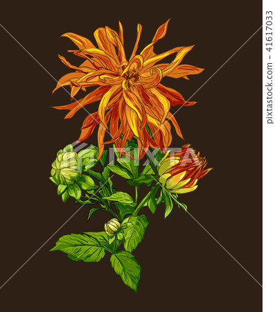 Collection set of hand drawn flowers line art by hand drawing on dark background. Collection set of hand drawn flowers line art by hand drawing on dark background. 41617033
