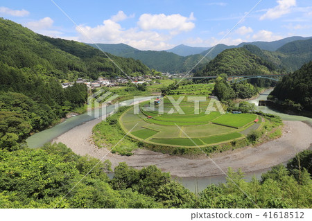 赤島的水稻梯田 赤島的水稻梯田 41618512