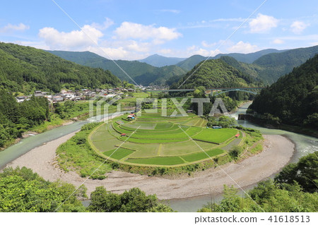 赤島的水稻梯田 赤島的水稻梯田 41618513