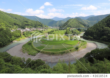 赤島的水稻梯田 41618514