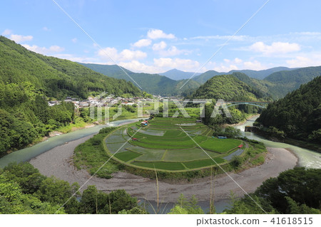 赤島的水稻梯田 赤島的水稻梯田 41618515