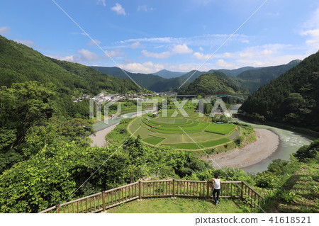 Rice terrace of Akashima 41618521