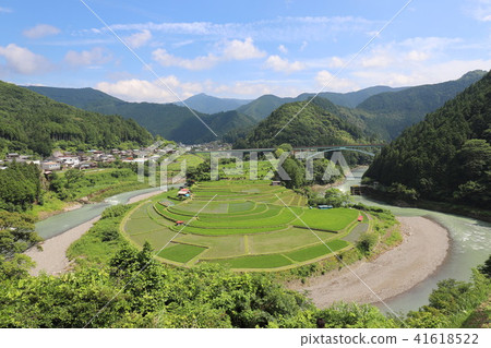 赤島的水稻梯田 41618522