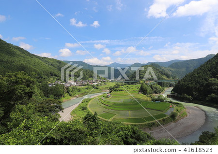 赤島的水稻梯田 41618523