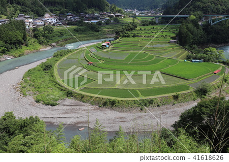 Rice terrace of Akashima 41618626