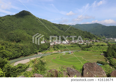 赤島的水稻梯田 赤島的水稻梯田 41618674