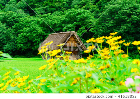 Landscape Story: Shirakawa-go Landscape Story: Shirakawa-go 41618852