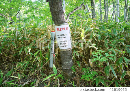 Norikura Highlands Bear Scare!! Norikura Highlands Bear Scare!! 41619053