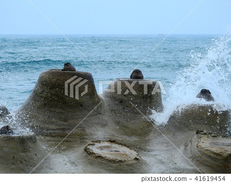野柳海岸 41619454