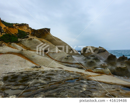 野柳海岸 野柳海岸 41619486