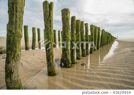 wooden poles in the sea 41620934