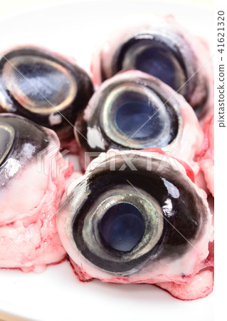 金槍魚的眼睛 41621320