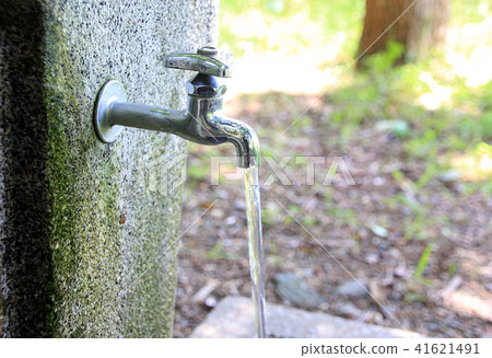 Waterworks Forest Park 41621491