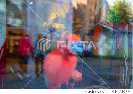 A pink parrot behind a showcase with reflection 41623029