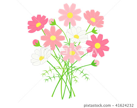 Cosmos 3 Cosmos 3 41624232