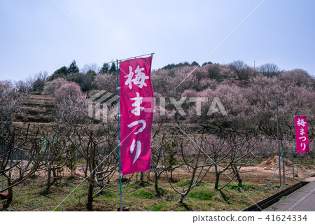 津山市神代梅之鄉公園 41624334