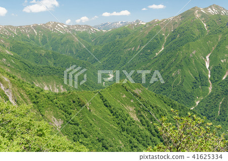 Clear fresh green Tanigawa mountains 41625334
