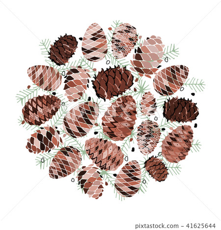 Cedar cone background, sketch for your design 41625644