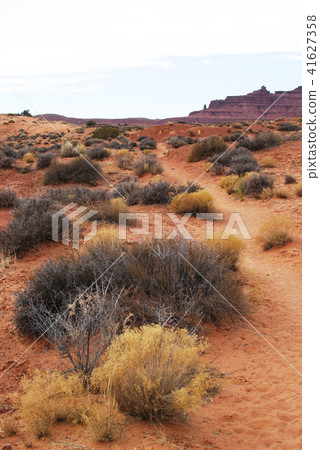 Wildcat Trail in Monument Valley Wildcat Trail in Monument Valley 41627358