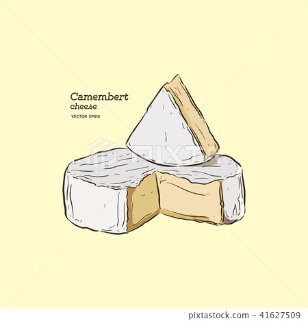 camembert cheese, hand draw sketch vector. 41627509