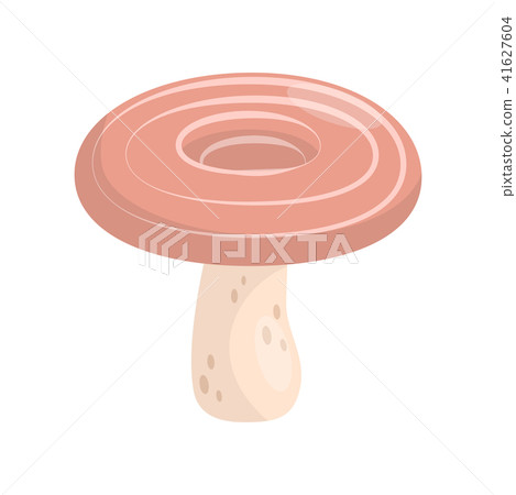 Flat vector icon of lactarius deliciosus or saffron milk cap. Edible mushroom with circles on cap Flat vector icon of lactarius deliciosus or saffron milk cap. Edible mushroom with circles on cap 41627604