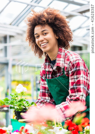 Dedicated woman holding a potted plant during work as florist 41628387
