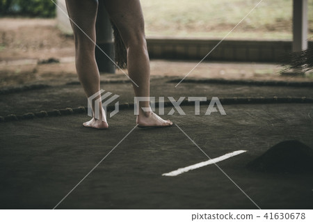 sumo ring, dohyo, mountain 41630678