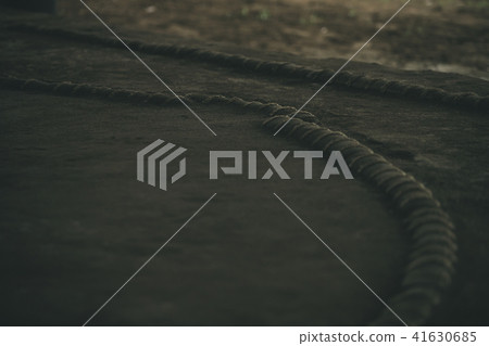 bull's-eye, double ring, double-ring 41630685