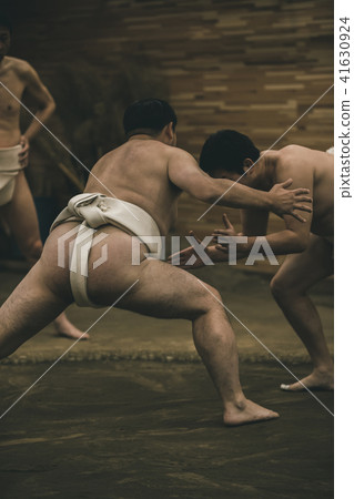 sumo, sumo wrestling, training 41630924
