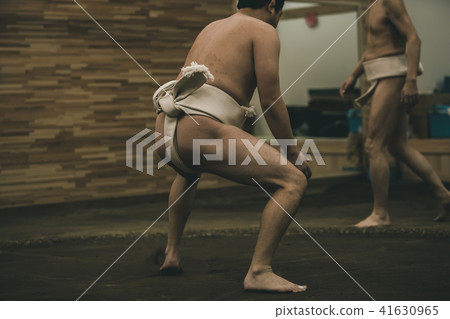sumo, sumo wrestling, training 41630965