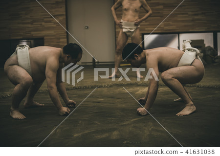sumo, sumo wrestling, training 41631038