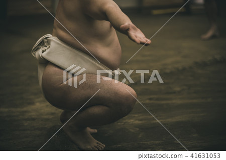 sumo, sumo wrestling, training 41631053