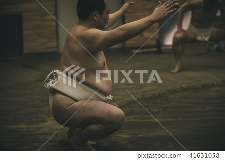 相撲 研修 訓練 41631058