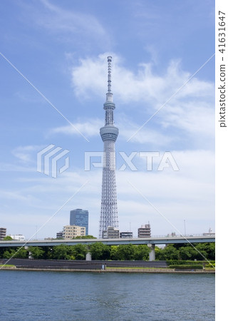 Tokyo Skytree as seen from Sumida Park 41631647