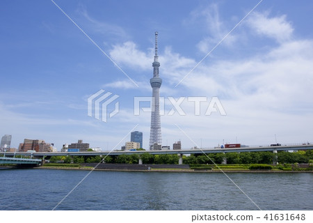 Tokyo Skytree as seen from Sumida Park 41631648