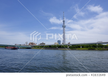 從墨田公園看到的東京晴空塔 從墨田公園看到的東京晴空塔 41631649
