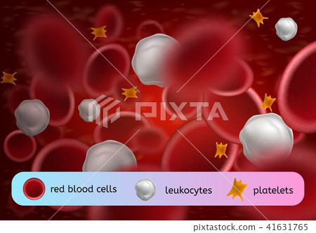 Blood Cells Types Realistic Vector Concept Blood Cells Types Realistic Vector Concept 41631765