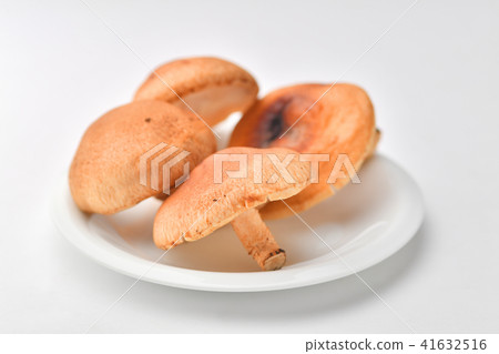 Raw shiitake mushroom Raw shiitake mushroom 41632516