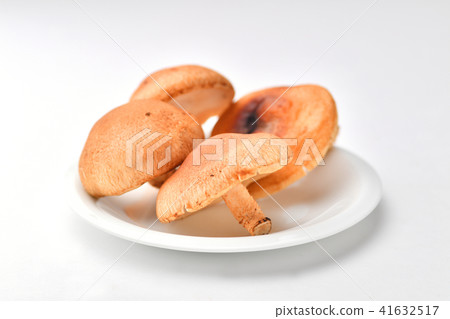 Raw shiitake mushroom Raw shiitake mushroom 41632517
