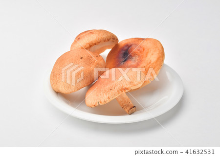 Raw shiitake mushroom Raw shiitake mushroom 41632531