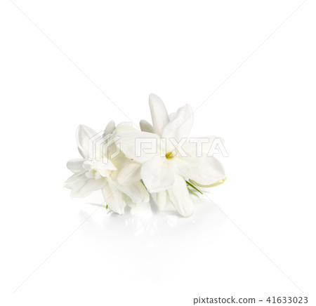 Jasmine flower over white background 41633023