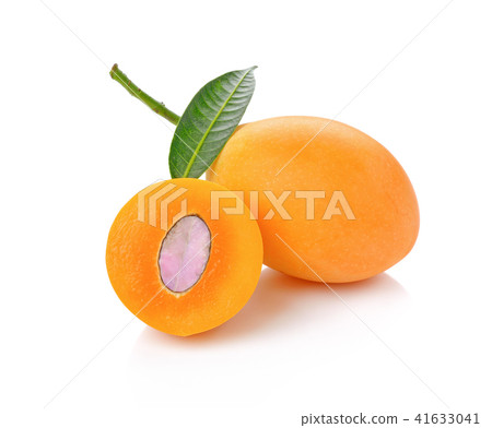 Marian Plum isolated on white background. Marian Plum isolated on white background. 41633041