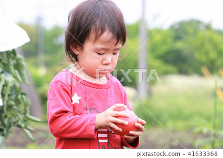 Girls with tomatoes Girls with tomatoes 41633368