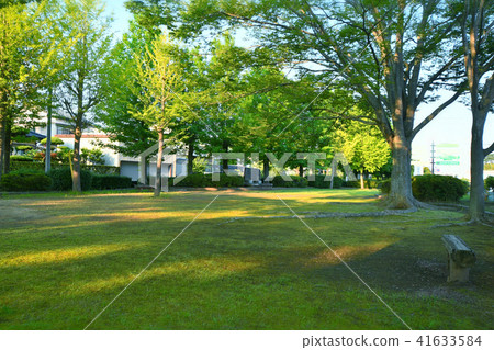 Takashi Park Takashi Park 41633584