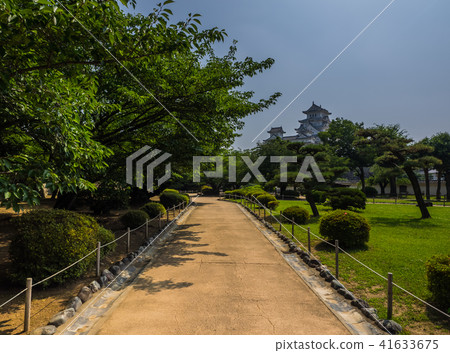 一個新鮮的綠色姬路城堡 41633675
