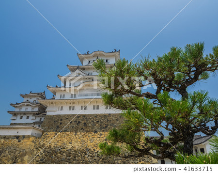 A fresh green Himeji castle 41633715