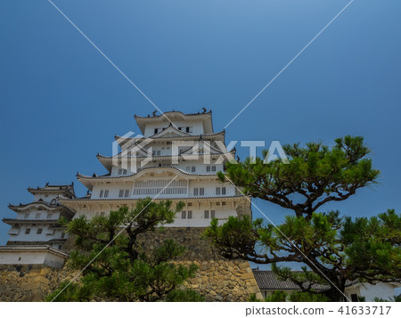 A fresh green Himeji castle 41633717