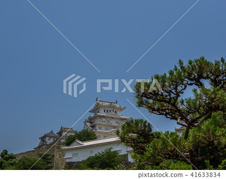 一個新鮮的綠色姬路城堡 41633834