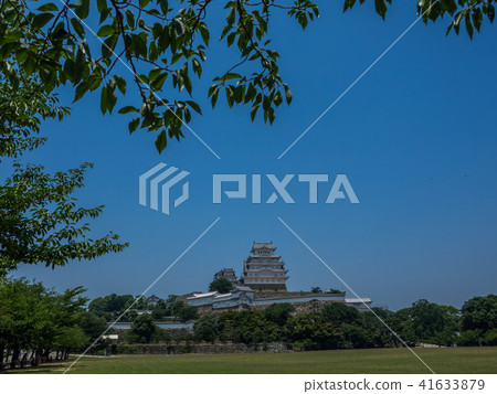 A fresh green Himeji castle A fresh green Himeji castle 41633879