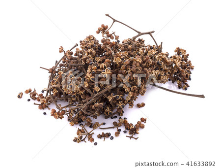 Zanthozylum limonella Alston on white background. 41633892